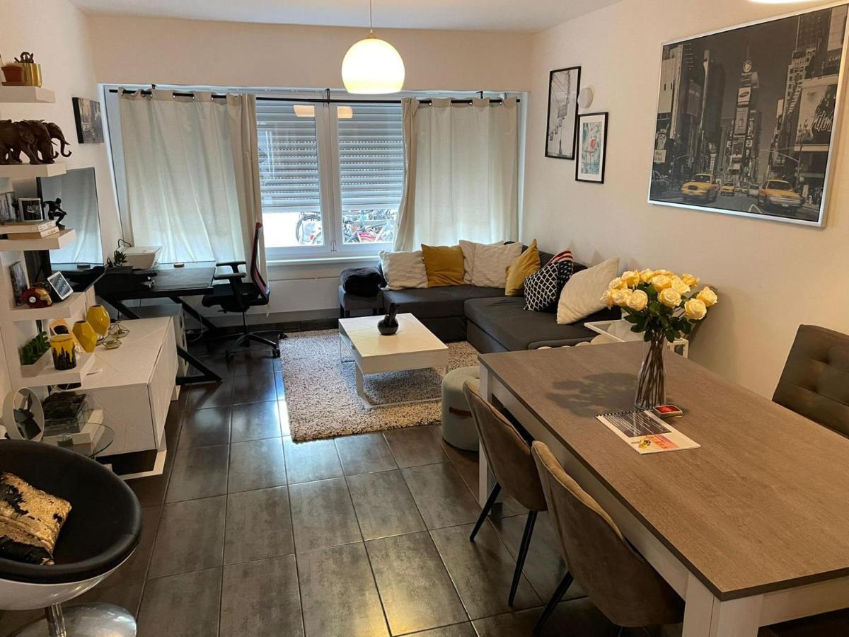 Modern Apartment With Garden In Antwerp, 15Min From City Center Екстериор снимка